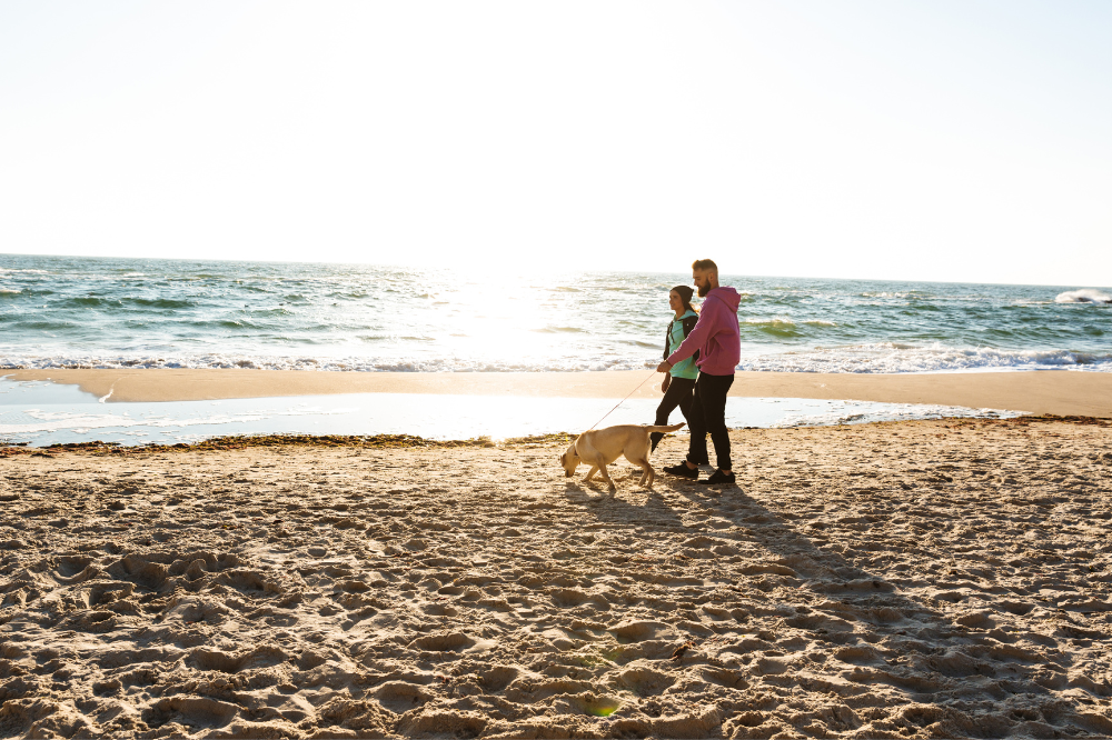 couple walking dog on the beach